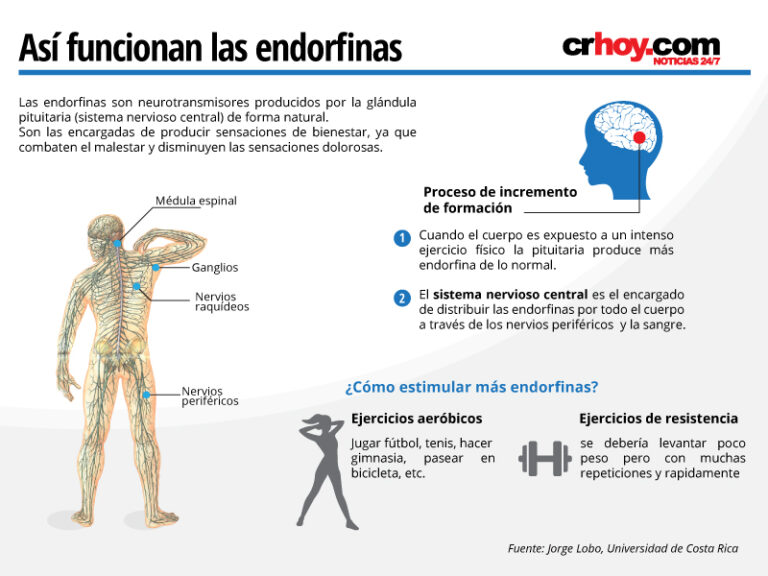 Hormonas de la felicidad: Cuál es la hormona de la alegría