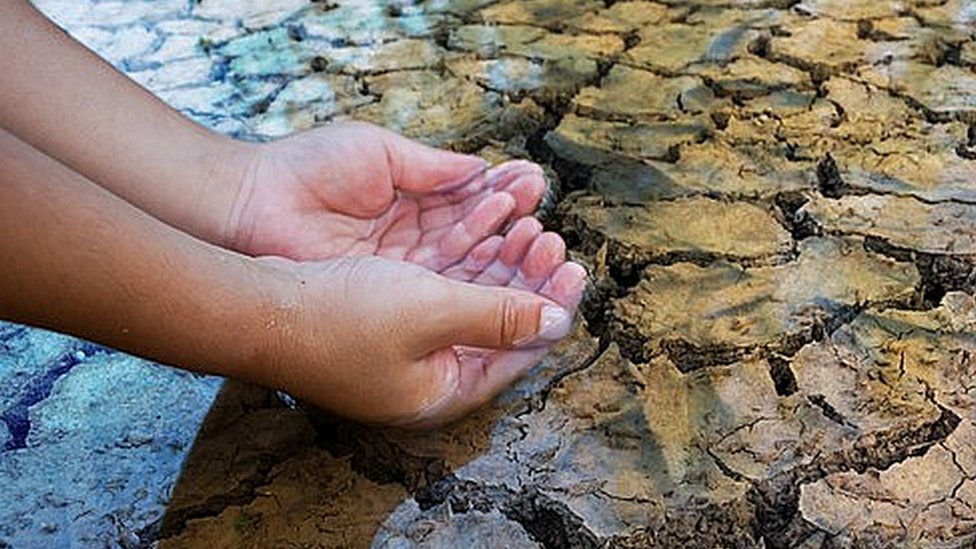 japama revelara los nombres de agricultores que roban agua