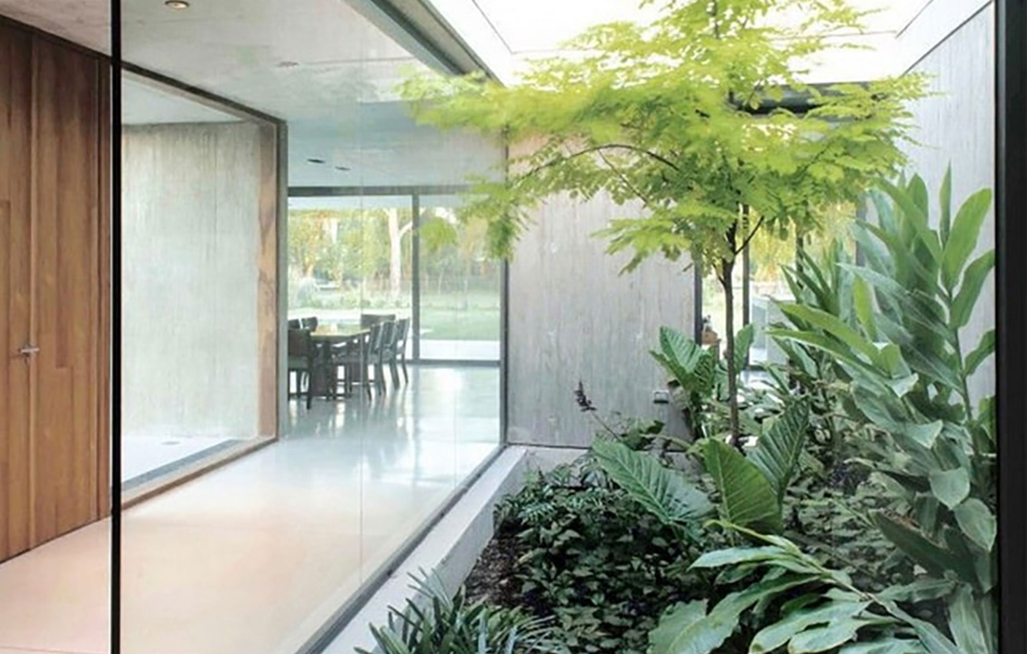 jardin interior
