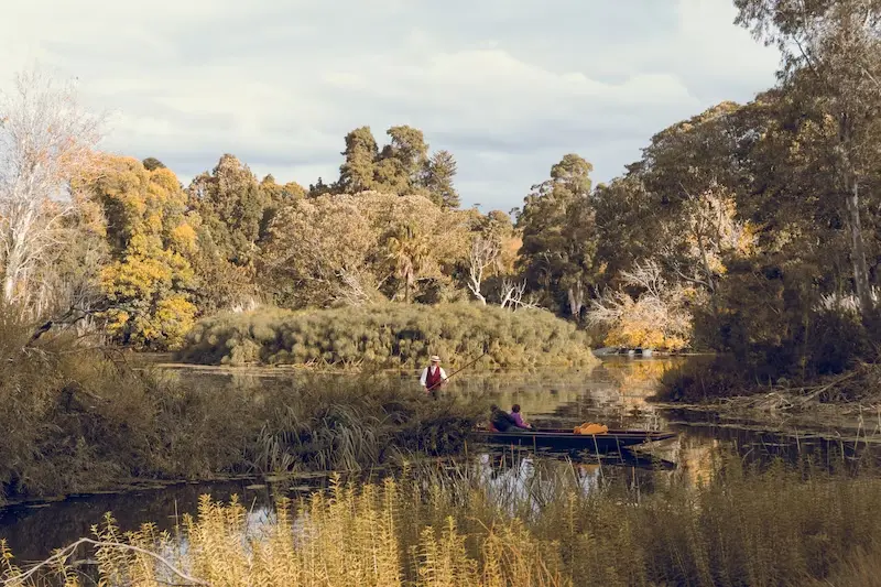 jardines botanicos un viaje a la naturaleza en su esplendor
