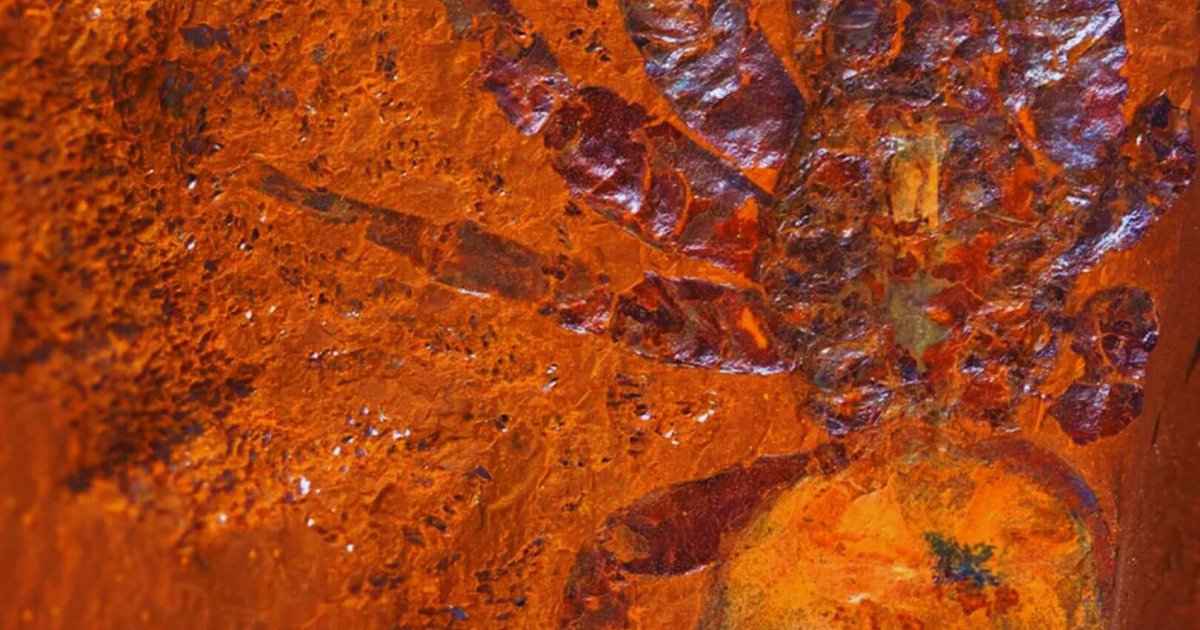 la masoneria al descubierto verdad y leyendas reveladas