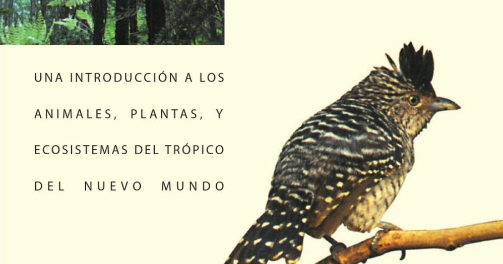 la nueva especie de ardilla voladora revela secretos evolutivos