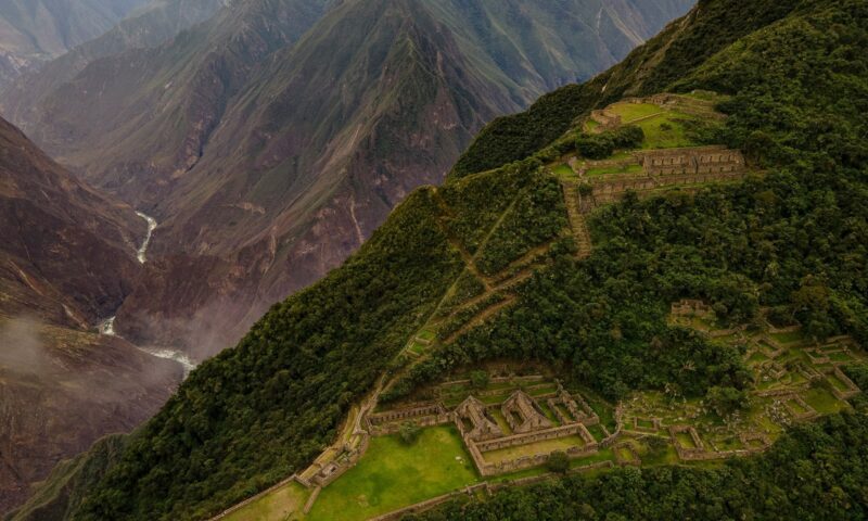 llama el fascinante animal que cargo con un imperio andino