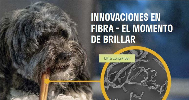 los perros pueden comer chicharos o guisantes sin problemas