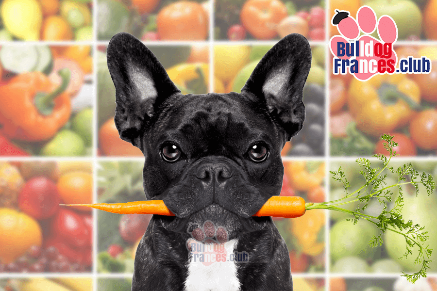 los perros pueden comer espinacas beneficios y precauciones