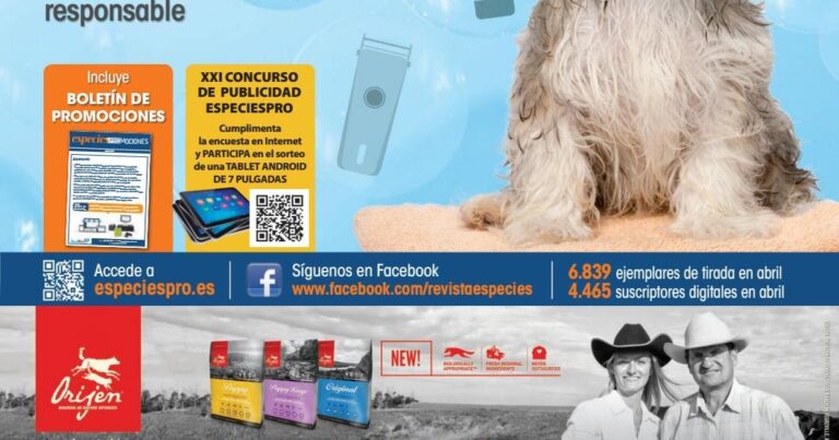 Los perros pueden comer moras Beneficios y precauciones