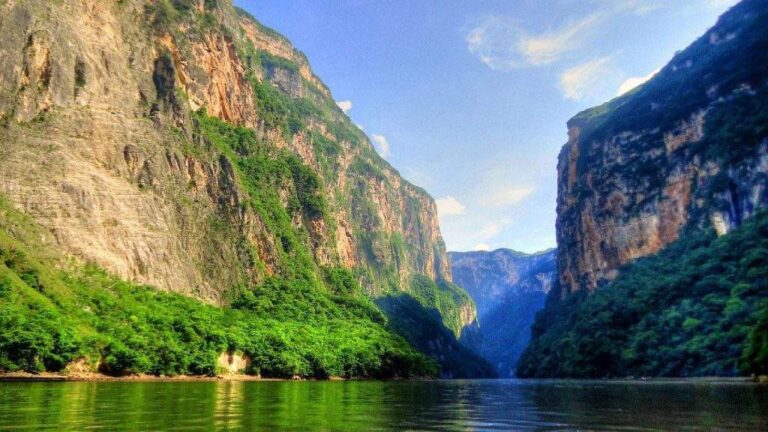 Mayo: El Mes de la Naturaleza Mexicana y sus Maravillas