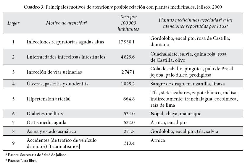 medicina mexicana cerca de mi descubre la herbolaria