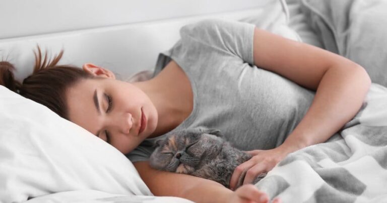 Mi gato tiene pulgas y duerme conmigo: qué debo hacer