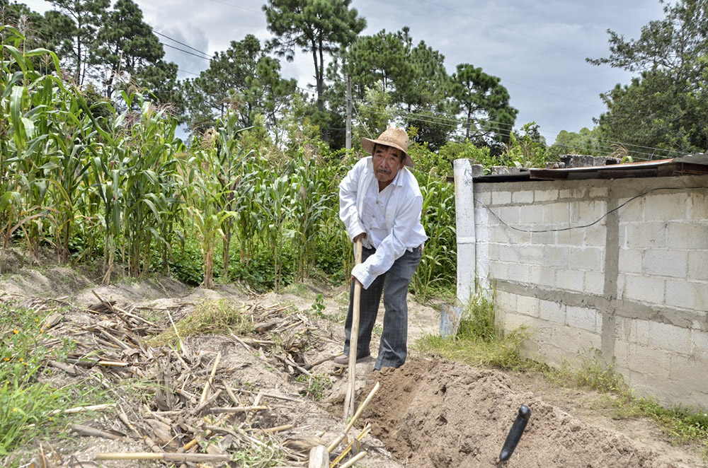 no hacemos nada futuro desolador por el cambio climatico