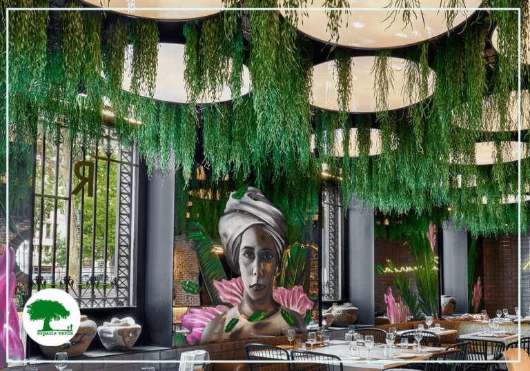 Nombres aesthetic: 7 plantas que transformarán tu espacio