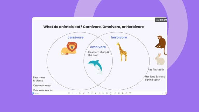 Nombres de gatos de Disney: +100 opciones encantadoras
