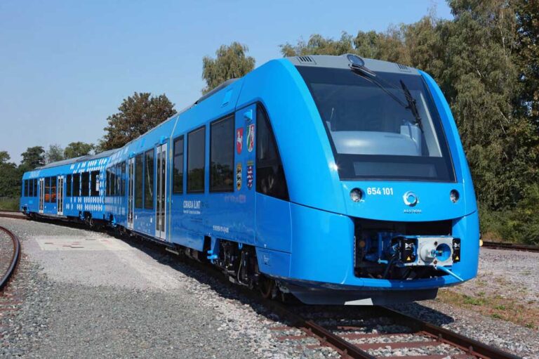 Oso grizzly: Estrategias para protegerlos de los trenes