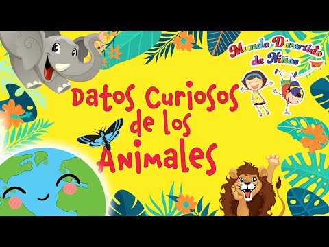 Otros datos de las abejas que te sorprenderán: ¡Descúbrelos!