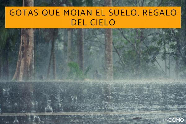 País más lluvioso del mundo: dónde llueve sin parar