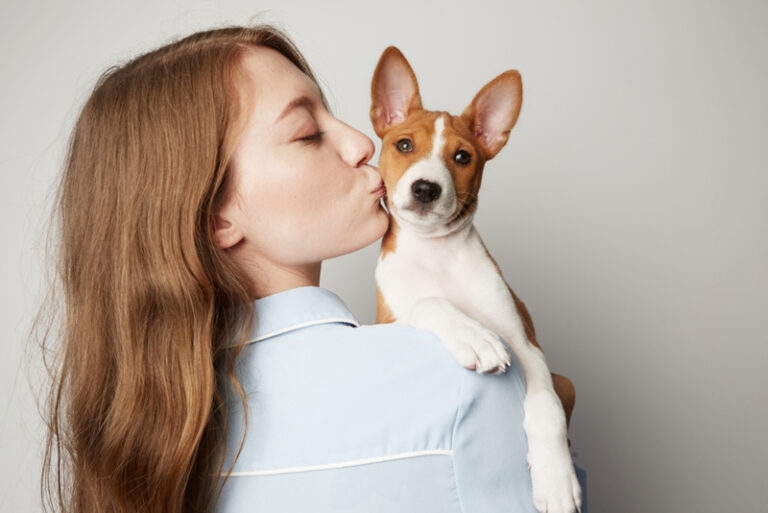 Perros que parecen osos: 20 adorables razas para amar
