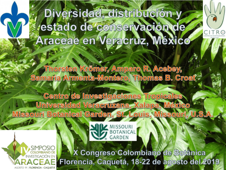 Perturbado hábitat: La amenaza a la biodiversidad mexicana