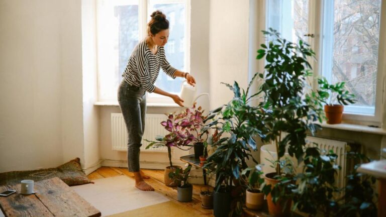 Planta con hojas amarillas: causas y soluciones efectivas