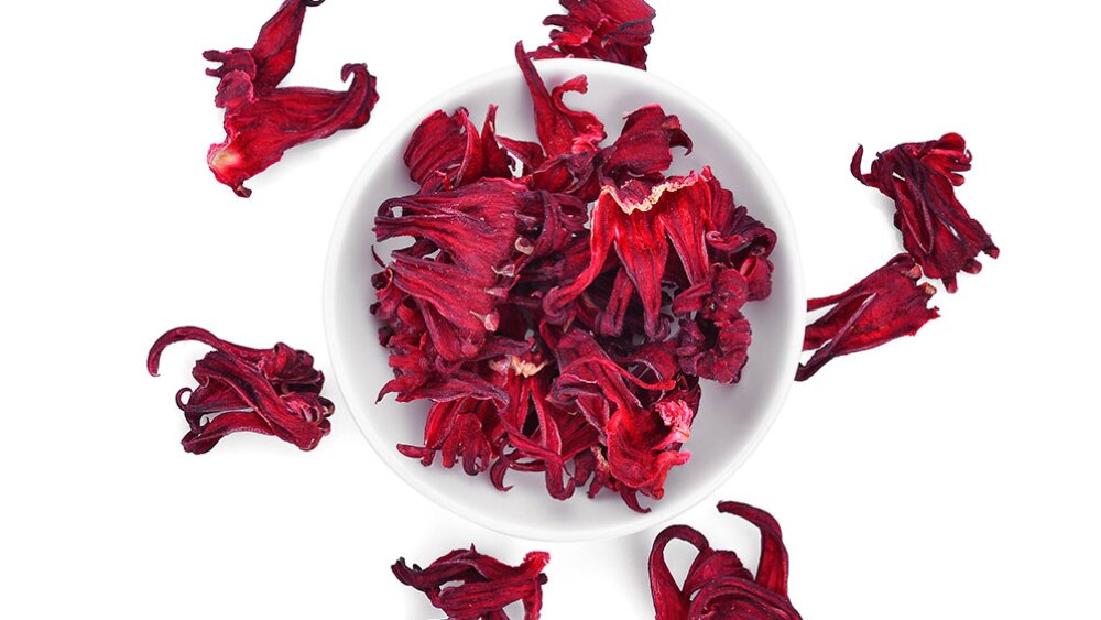 planta flor de jamaica descubre los diversos tipos y usos