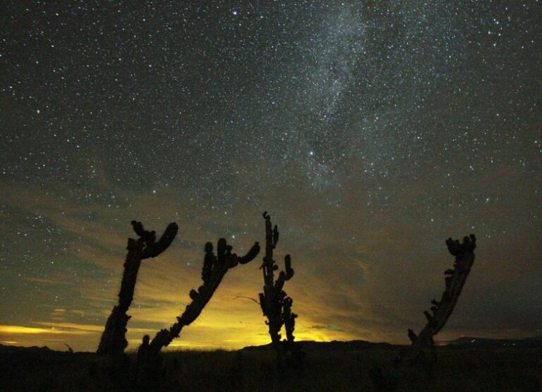 Por dónde sale el sol y por dónde se oculta Descúbrelo