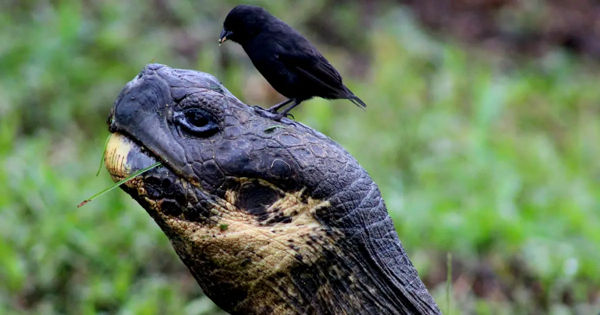 por que es crucial la biodiversidad y cual es su relevancia