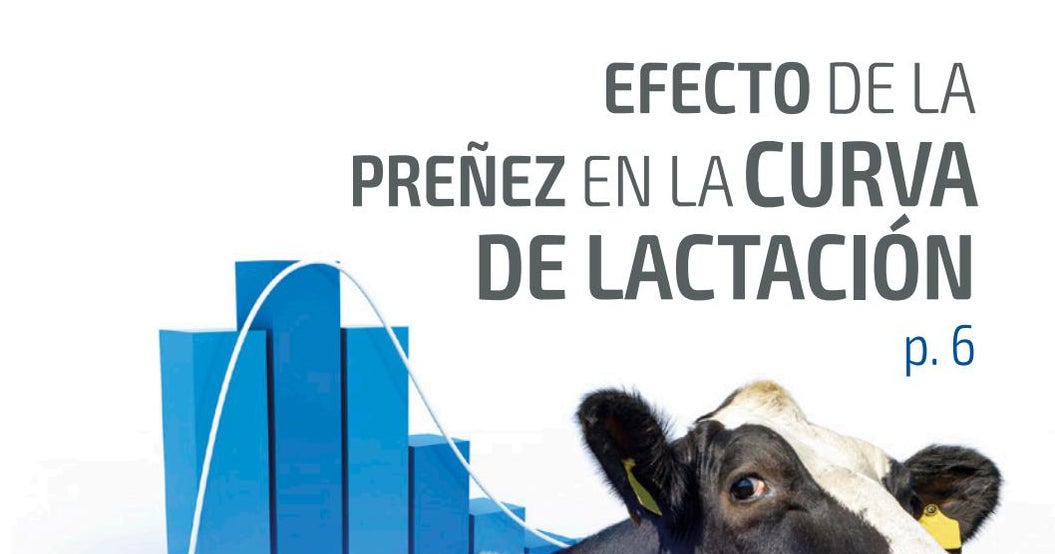 por que nunca deberias comer babosas descubre 7 razones aqui