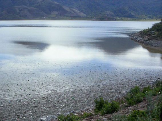Presa El Bosque en Zitácuaro sigue debajo del 60% de capacidad