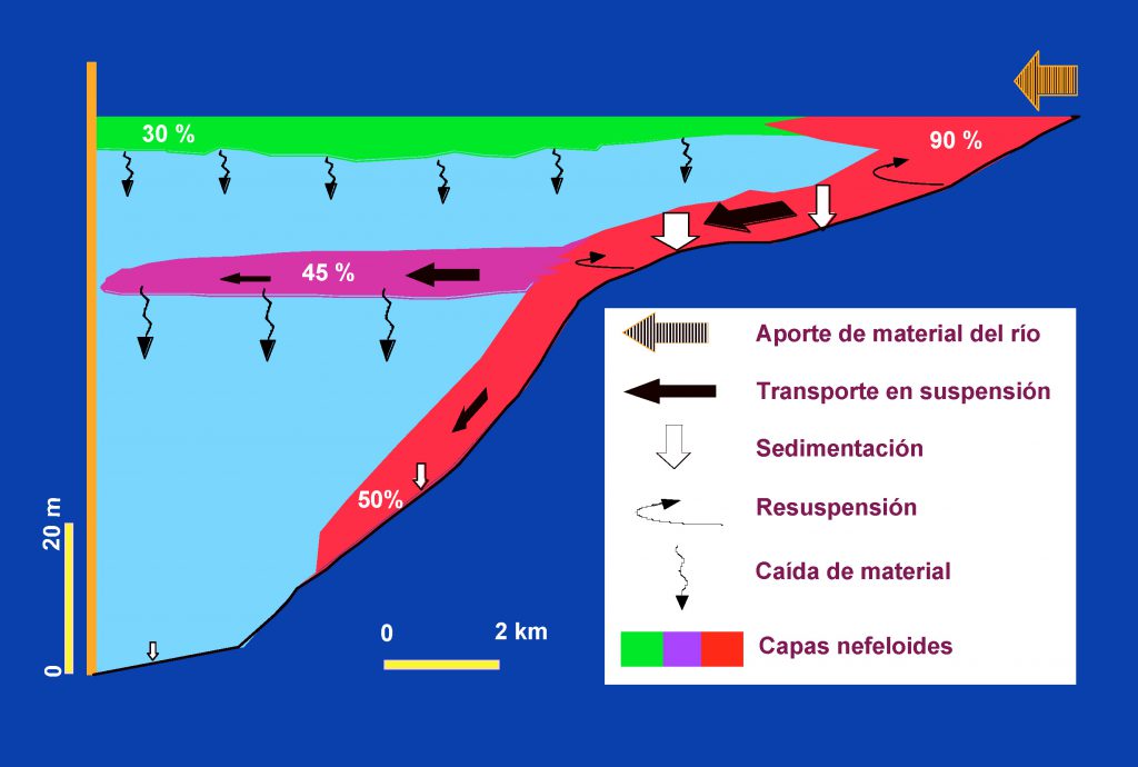 presas relevancia tipos y su impacto en el medio ambiente