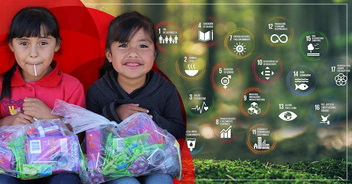 que acciones concretas realizas para cuidar el medio ambiente escolar