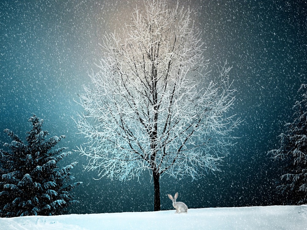 que beneficios ofrece el frio invernal en minnesota