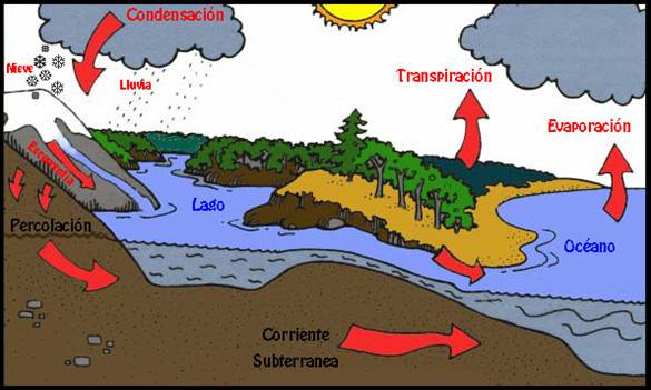 Qué causas, consecuencias y soluciones tiene la contaminación del agua