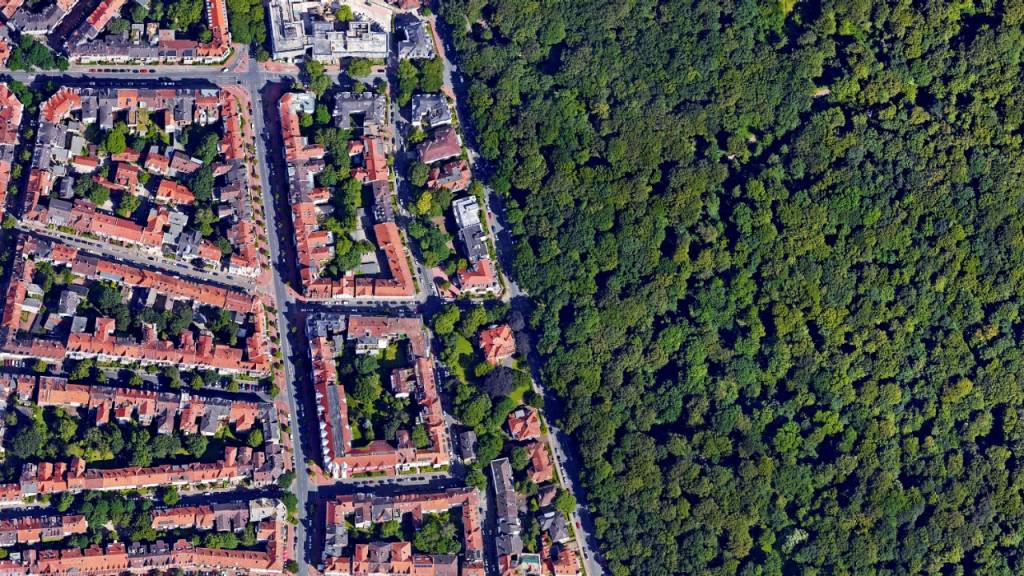 que claves y beneficios aporta la reforestacion sostenible