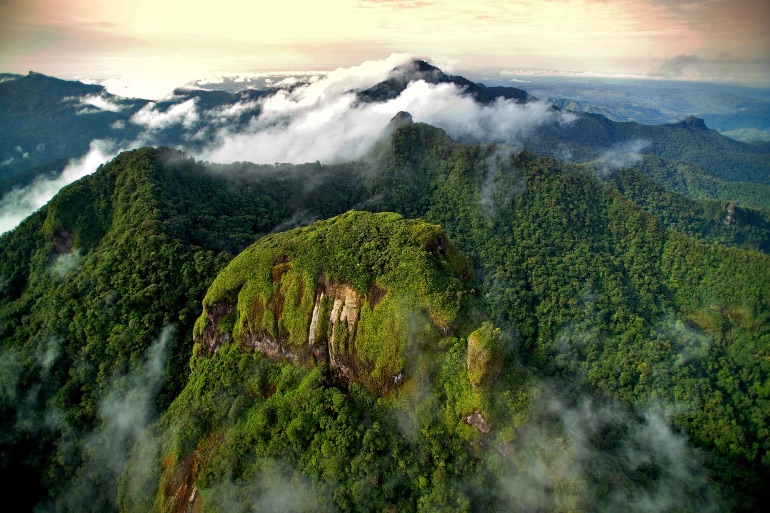que diferencias hay entre un parque nacional y un parque natural