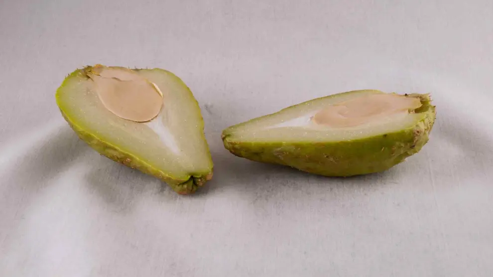 que es el chayote descubre sus beneficios y propiedades