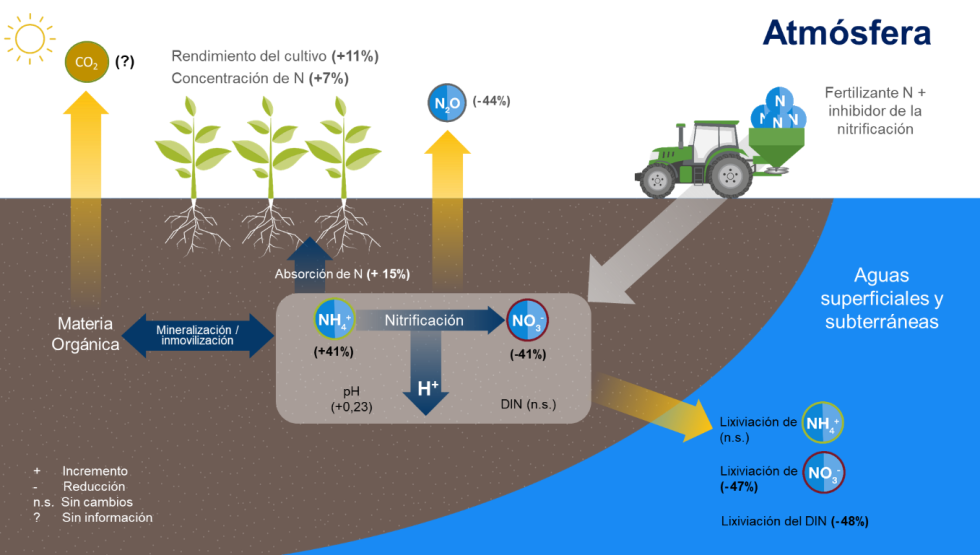 que es el proceso de nitrificacion en el ciclo del agua