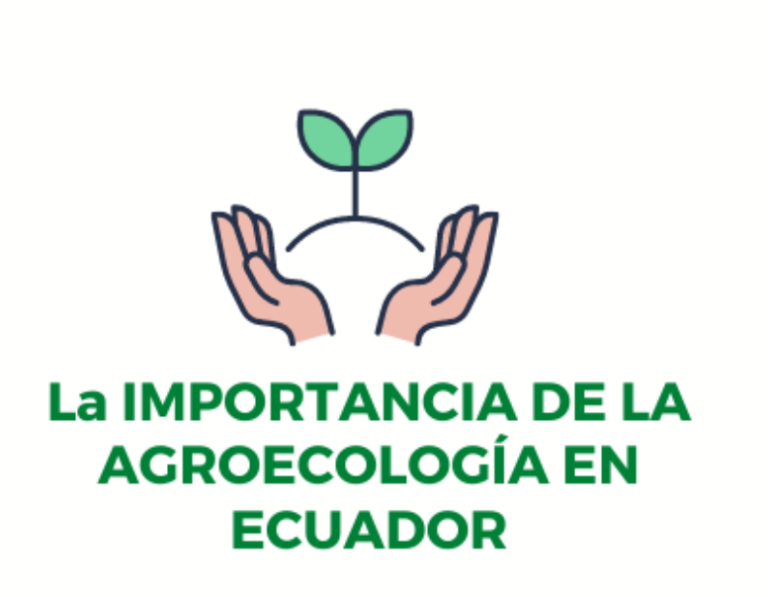 Qué es la agroecología y cuáles son sus beneficios e importancia