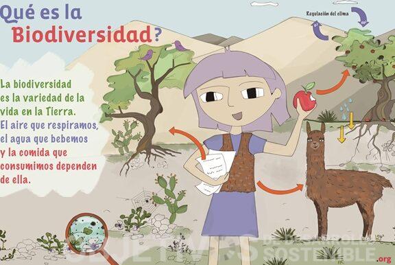 Qué es la biodiversidad y por qué debemos protegerla hoy