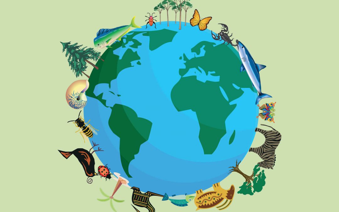 que es la biodiversidad y por que es vital para el planeta