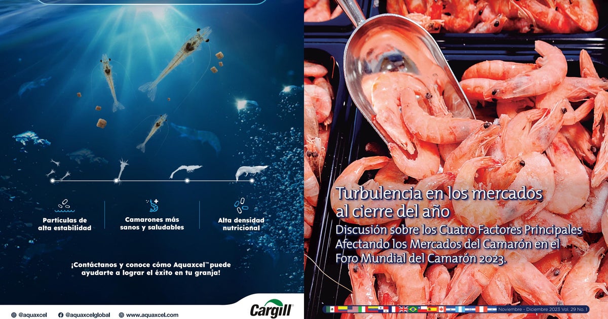 que es la cadena alimenticia acuatica y como operan las cadenas troficas