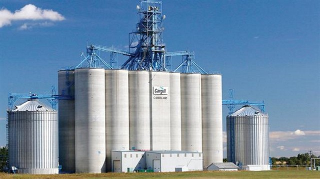 que es la cadena trofica terrestre y como opera su red alimenticia