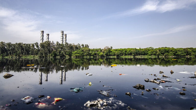 Qué es la contaminación ambiental: causas y tipos explicados