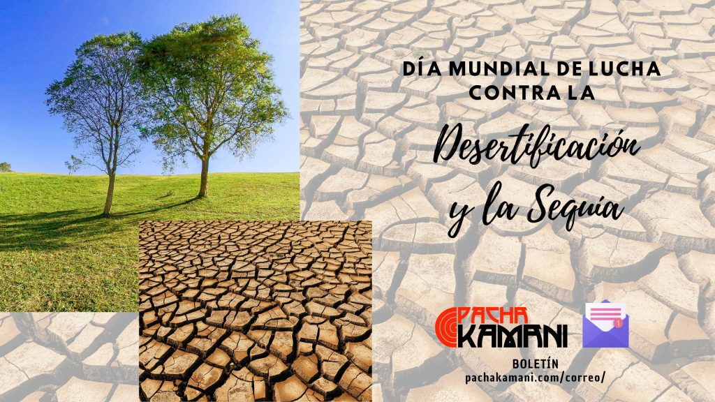 que es la desertificacion y cuales son sus causas y efectos