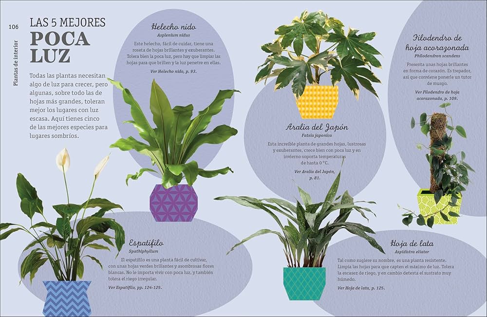 que es la horticultura consejos esenciales para cultivar