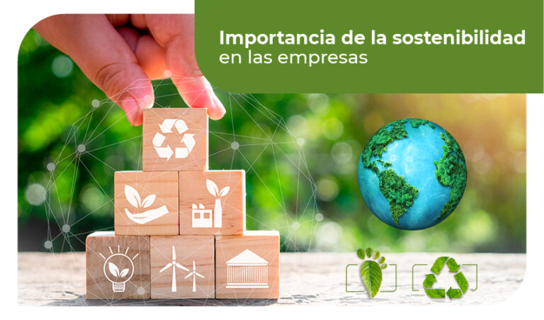 Qué es la política ambiental y por qué es importante hoy