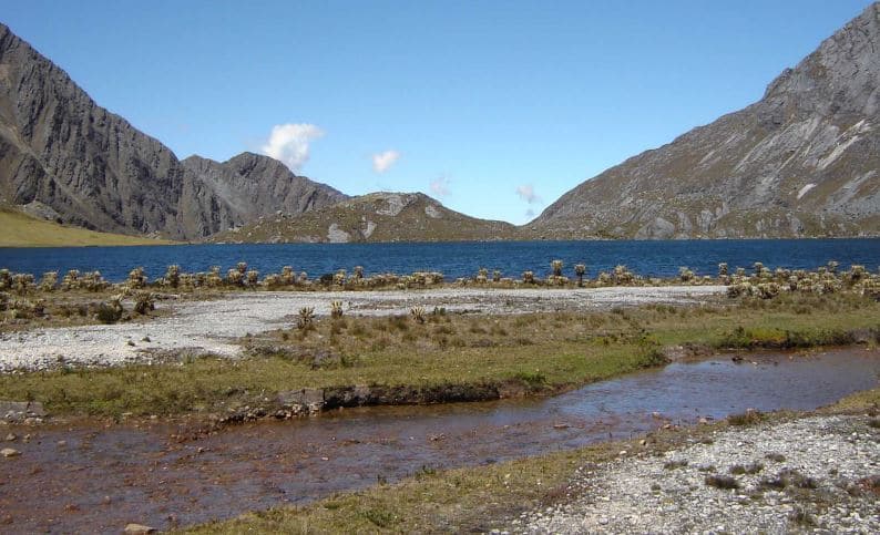 que es la tundra descubre su ecosistema y fauna unica