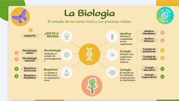 que estudia la ecologia ramas y enfoques de esta ciencia
