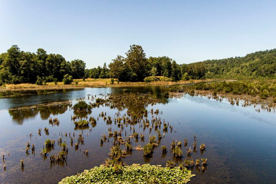 que importancia tienen los lagos y humedales en el medio ambiente