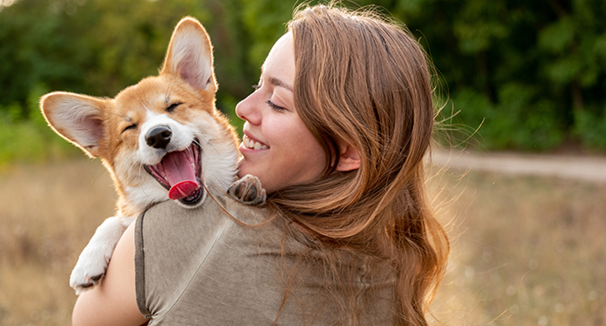 que juguetes son ideales para perros hiperactivos y felices