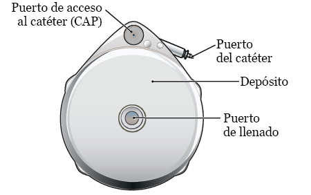 qué necesito saber sobre el COVID en CDMX según el panel informativo