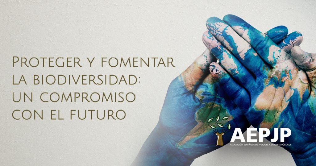 que puedo hacer para cuidar y mantener la biodiversidad